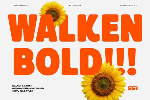 Walken: A Bold Sans Serif Font for Playful Editorial Design
